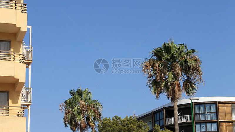 户外探险夏令营，孩子成长之旅的五大步骤揭秘